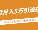 老古董·抖音月入5万引流玩法,看看老司机如何玩转抖音(附赠:抖音另类引流思路)-资源宝库吧