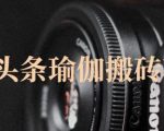 猎人社区·今日头条瑜伽搬砖项目,单号一天几十收入,可以批量操作!-资源宝库吧