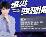 张sir·垂类变现课,抖音带货新手才看粉丝量,高手都看变现效率-资源宝库吧
