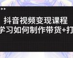 抖音短视频变现课程:带你学习如何制作带货+打造IP【41节】-资源宝库吧