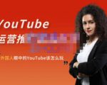外国人眼中的YouTube该怎么玩?Elisa·YouTube运营推广实战技巧-资源宝库吧