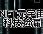 【元本空间sky七级空间唯一ibox幻藏等】NTF捡漏合集【抢购脚本+教程】-资源宝库吧