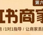 贾真-小红书商家营第6期商家版，21天带货陪跑课，让商家丢掉付流量-资源宝库吧