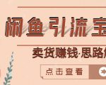 闲鱼引流宝妈粉+卖货赚钱一个月收益30000+(实操视频教程)-资源宝库吧