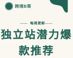 【跨境B哥】独立站潜力爆款选品推荐,测款出单率高达百分之80-资源宝库吧