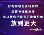 张sir账号流量增长课，告别海王流量，让你的流量更精准-资源宝库吧