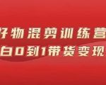 万三好物混剪训练营:小白0到1带货变现课-资源宝库吧