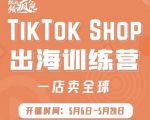 疯人院:TikTok Shop出海训练营(一店卖全球),出海抢占全球新流量-资源宝库吧