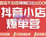 推易电商·2022年抖音小店爆单营,不直播、不拍短视频、日出1000单,暴力玩法-资源宝库吧