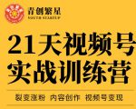张萌21天视频号实战训练营,裂变涨粉、内容创作、视频号变现 价值298元-资源宝库吧