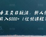 虚拟项目垂直类目玩法,新人快速起店,月入5000+【视频课程】-资源宝库吧