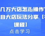 月入几万大店怎么操作?虚拟项目大店玩法分享【视频课程】-资源宝库吧