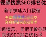 宋老师·短视频搜索SEO优化,教你10分钟创作一个短视频,三天排名上第一-资源宝库吧