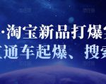 凌童·淘宝新品打爆实战班,直通车起爆、搜索起爆-资源宝库吧