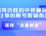 不讲李·稀奇古怪的冷门中视频冷门玩法,让你的账号脱颖而出,成为流量刺客!(图文+视频)-资源宝库吧