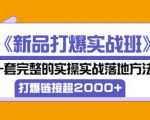 凌童《新品打爆实战班》,一套完整的实操实战落地方法,打爆链接超2000+(28节课)-资源宝库吧