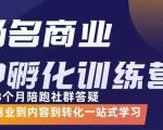 杨名商业IP孵化训练营,从商业到内容到转化一站式学 价值5980元-资源宝库吧