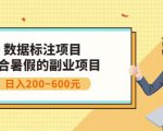 副业赚钱:人工智能数据标注项目,简单易上手,小白也能日入200+-资源宝库吧