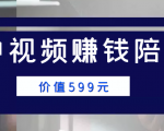 中视频赚钱陪跑，卖中视频账户赚钱收益陪跑项目（价值599元）-资源宝库吧