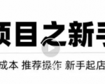 虚拟项目快速起店模式,0成本打造月入几万虚拟店铺!-资源宝库吧