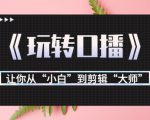 月营业额700万+大佬教您《玩转口播》让你从“小白”到剪辑“大师”-资源宝库吧