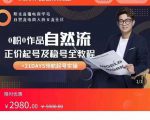 0粉0作品自然流正价起号及稳号全教程,专业自然流起号机构流程化教学(价值2980元)-资源宝库吧