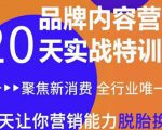 《内容营销实操特训营》20天让你营销能力脱胎换骨(价值3999)-资源宝库吧