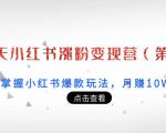 21天小红书涨粉变现营(第3期):带你掌握小红书爆款玩法,月赚10W+秘密-资源宝库吧