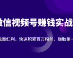 微信视频号赚钱实战：抓住流量红利，快速积累百万粉丝，赚取你的第一桶金-资源宝库吧