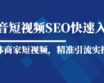 抖音短视频Seo搜索排名优化新手快速入门教程,实体商家短视频,精准引流实操课-资源宝库吧