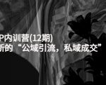 新媒体IP内训营(12期),一套全新的“公域引流,私域成交”IP打法,直接带走-资源宝库吧