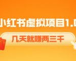 《小红书虚拟项目1.0》账号注册+养号+视频制作+引流+变现,几天就赚两三千-资源宝库吧