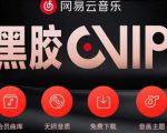 网易云音乐撸黑胶年卡及变现方法，收益可无限放大-资源宝库吧