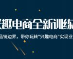 兴趣电商全新训练营:打破品销边界,带你玩转“兴趣电商“实现业务增长-资源宝库吧