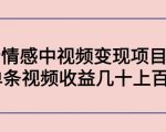 副业孵化营第5期:抖音情感中视频变现项目孵化 单条视频收益几十上百-资源宝库吧
