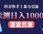 日收益1000+的交友盲盒副业丨有手就行的抖音快手暴力引流-资源宝库吧