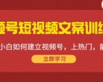 视频号短视频文案训练营:0基础小白如何建立视频号,上热门,能卖货!-资源宝库吧