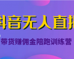 抖音无人直播带货赚佣金陪跑训练营(价值6980元)-资源宝库吧