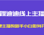 暴躁迪迪线上主播课,金牌主播教新手小白如何开播-资源宝库吧