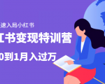 小红书变现特训营:带你快速入局小红书,从0到1月入过万-资源宝库吧