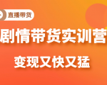 《剧情带货实训营》目前最好的直播带货方式,变起现来是又快又猛(价值980元)-资源宝库吧