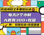 吃瓜项目之不要脸玩法,每天2小时,收益300+(附 快手美女号引流+吃瓜渠道)-资源宝库吧