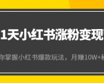 21天小红书涨粉变现营(第4期):带你掌握小红书爆款玩法,月赚10W+秘密-资源宝库吧