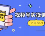 微信视频号实操训练营:视频号起号运营纯干货玩法!-资源宝库吧