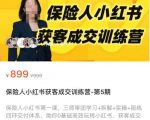 保险人小红书获客成交训练营,0基础高效玩转小红书,可复制的获客成交之路-资源宝库吧