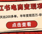顽石·小红书电商变现项目,实测当天出200多单,半年变现百万,非常稳定-资源宝库吧