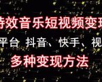 黄岛主《粒子特效音乐短视频变现项目》主攻平台抖音、快手、视频号多种变现方法-资源宝库吧