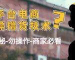 外面收费2980的全平台电商白嫖撸货技术(仅揭秘勿操作-商家防范必看)-资源宝库吧