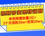 21天视频号变现特训营:单视频播放量2亿+3个月涨粉30w+变现20w+(第14期)-资源宝库吧
