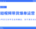 2023短视频带货爆单运营,从账号定位到学会选预爆品,到代理完成出单(价值1250元)-资源宝库吧